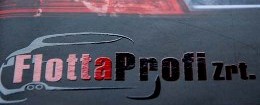 FlottaProfi Parcialny UV lak